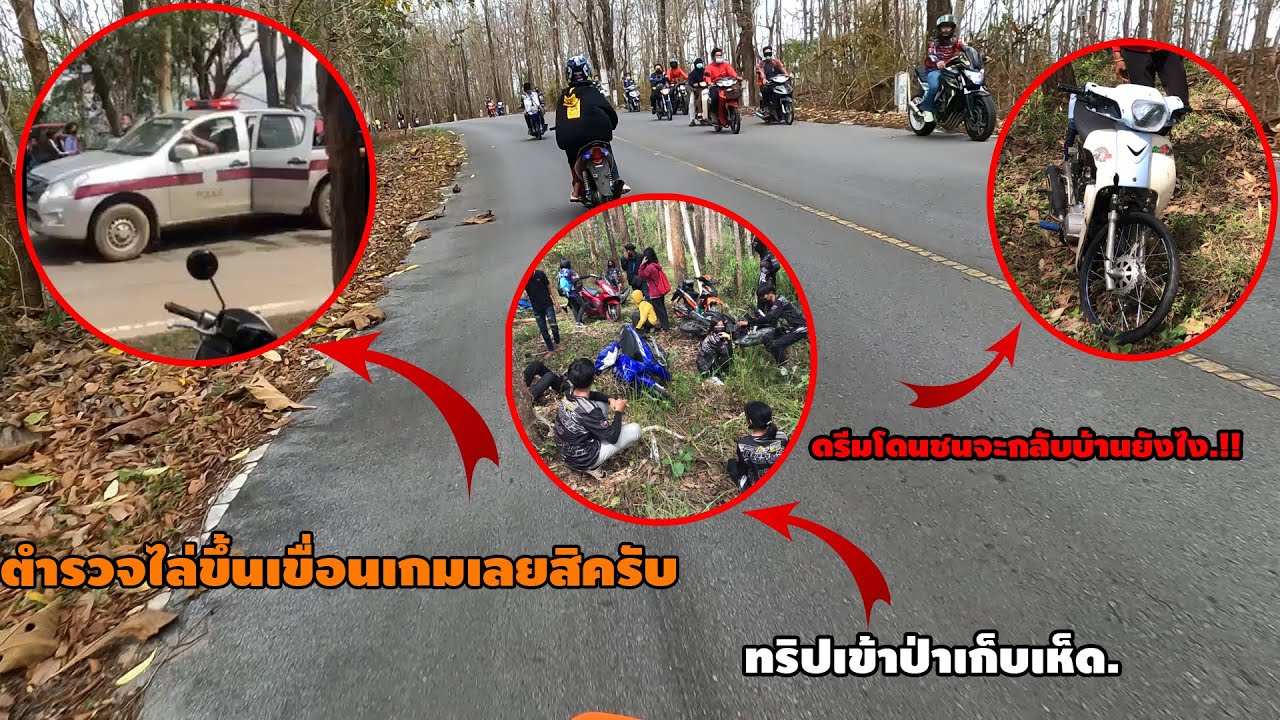 พาน้องส้มจื๋ดไปทริปครั้งแรก #โดนรถชนจะรอดไหม.!!