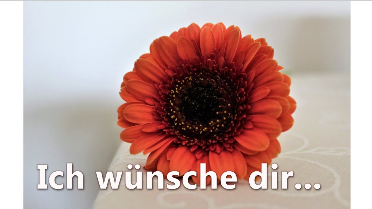 Ich wünsche dir.../Elena Krieger/Foto/
