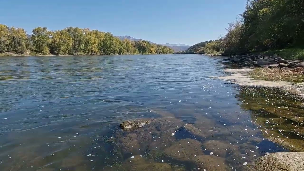 Free Stock Video - View of the Snake River from river bank moving towards and underwater in Idaho