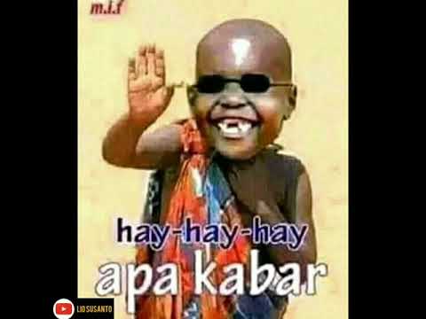 Pp Wa Gambar Lucu Ngakak