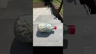 😈 Rolling bottles down the stairs 😈! crazy reaction!#rollingbottles #botttelsdownstairs