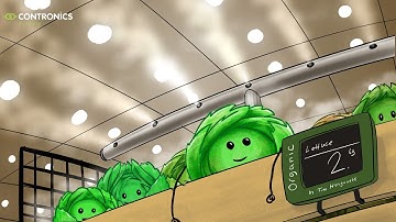 Lettie Lettuce - The Incredibly Dry Misting Journey