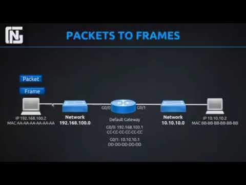 #Routers, Switches, Packets and Frames