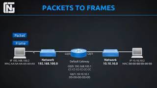 #Routers, Switches, Packets and Frames Profile
