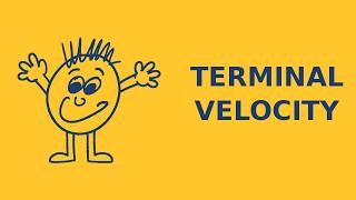 Terminal Velocity Explained — GCSE Physics Higher