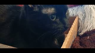 Lost Without Your Loaf