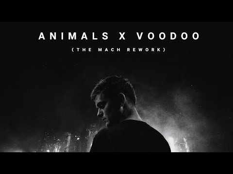 Martin Garrix, R3HAB \u0026 Skytech - Animals X Voodoo ( The Mach Rework ) Unreleased Music 2026