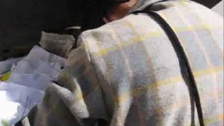 The Pazzazzed Scene One