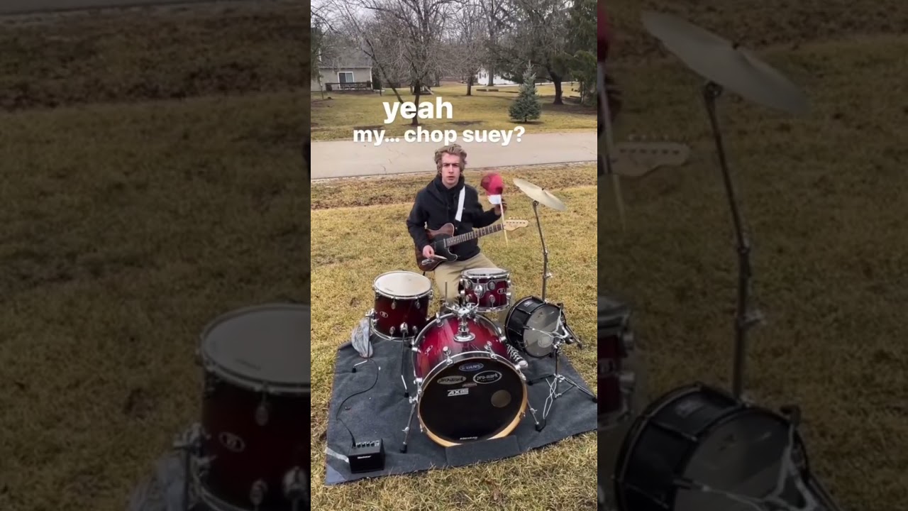 POV: you ordered chop suey