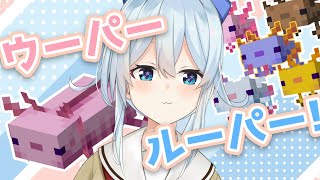 【マイクラ】青ウーパーほしい！うおおおおおッ【にじさんじ/雪城眞尋】