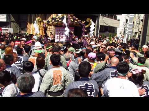 3269三社祭・三之宮神輿・寿一町の町内渡御。H27sanja 2