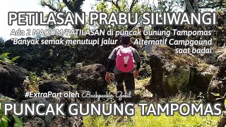 Jalur Menuju Petilasan Prabu Siliwangi || 10-15 menit dari Puncak Gunung Tampomas