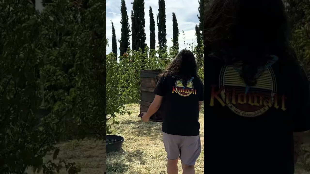 Why a Warre Hive is the Best Choice for Beekeeping | Benefits and Features