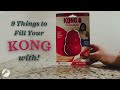 9 things to fill your dogs kong with  feeders pet supply