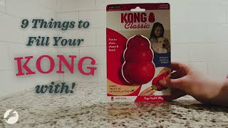 9 Things to Fill Your Dog's KONG With | Feeders Pet Supply