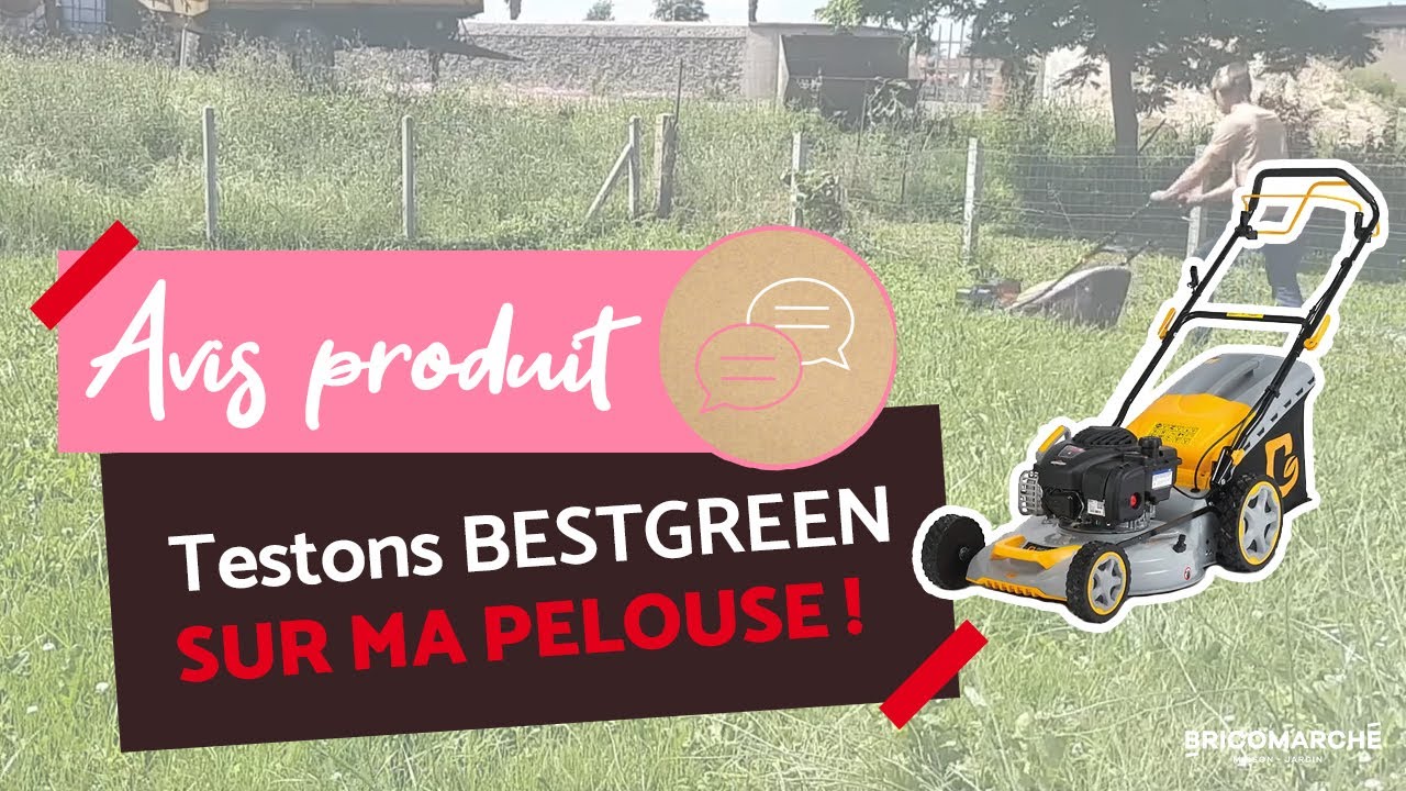 Qui Fabrique La Marque Bestgreen