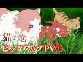 TVアニメ「猫と竜」ピックアップPV①～竜と猫～