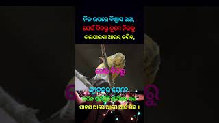 odia motivational quotes ll motivational lines ll motivational #shortvideo #viral #odia #motivation