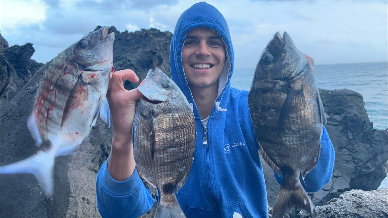 PESCA AOS SARGOS XXL SÃO MIGUEL AÇORES 2025 / Pesca de sargos