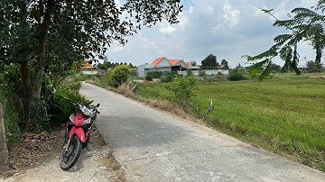 Tập363:(Đã bán)Đường Đan(3m)3000m2 lúa(45m x 68m)Giá 1tỷ50triệu-Thủ Thừa-Long An Định cư-nhà vườn