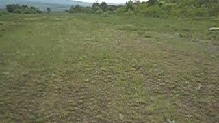 TREX250 120605