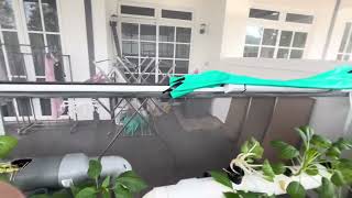 Daily Watering Hidroponik Plant @ Eco Spring JB❤️🌹🌶️