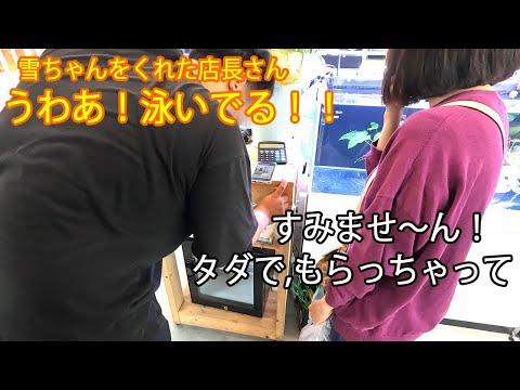 16 The manager wished Yuki-chan happiness. - YouTube