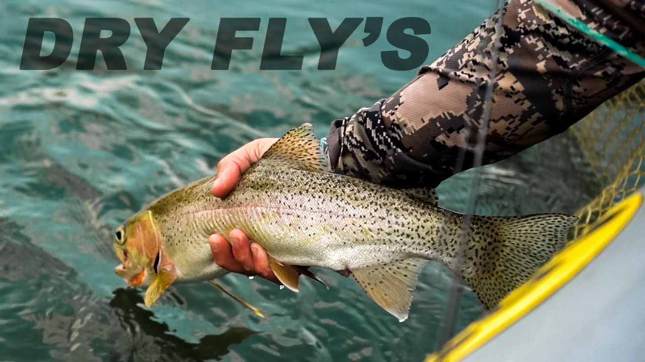 This state is the BEST KEPT SECRET in the fly fishing world! ( Fly