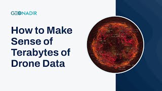 How to make sense of petabytes of drone data (Without losing your mind)