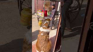 Tyzuus Love For Fulki Is Unbeatable