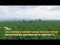 Decisiones Oportunas en Cultivos:Herramientas que Marcan la Diferencia-TvAgro por Juan Gonzalo Angel