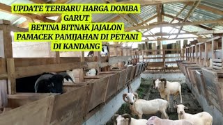 Download Lagu UPDATE TERBARU HARGA DOMBA GARUT BETINA BITNAK JAJALON PAMACEK PAMIJAHAN DI PETANI DI KANDANG!! MP3