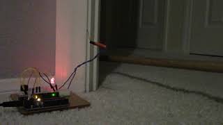 EE Final Project: Tripwire