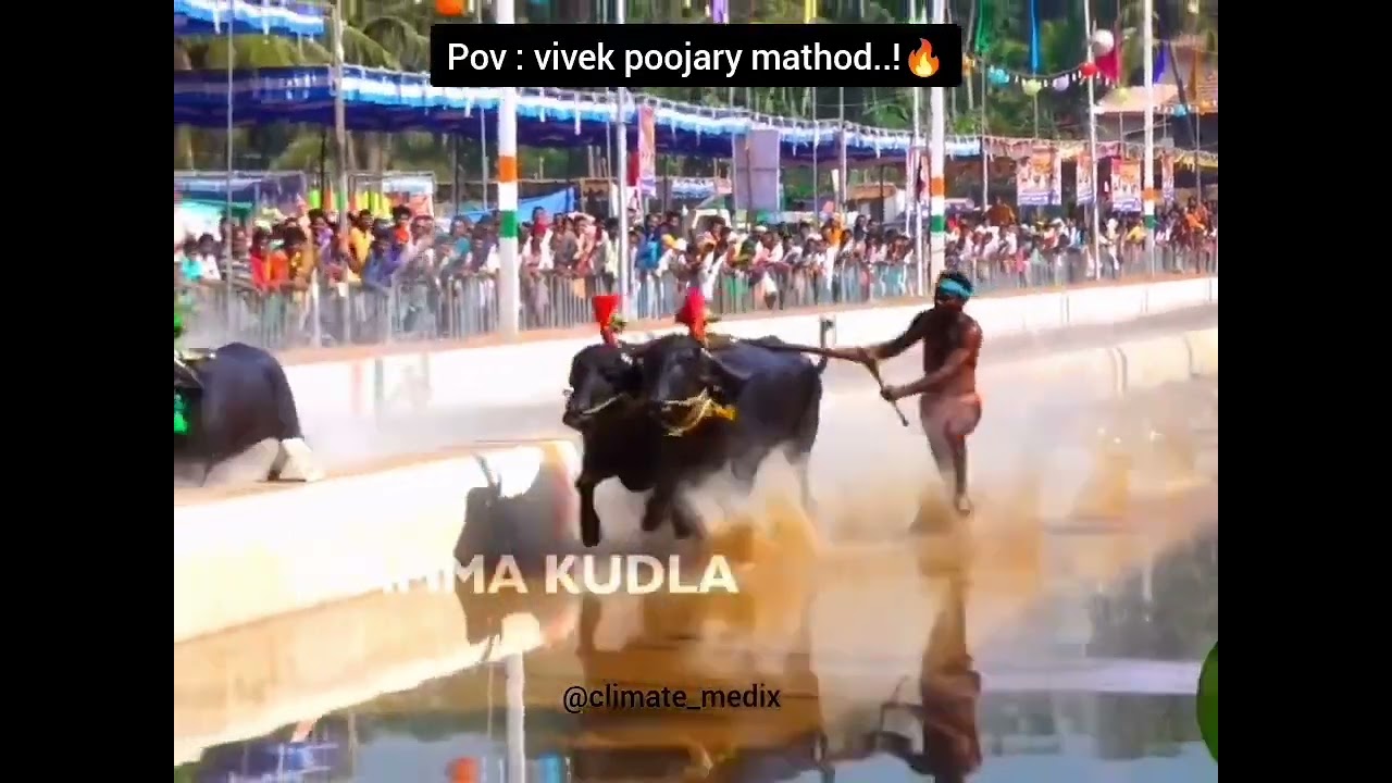 Iruvail paanila bada poojarlena nayerda malla gidavunar byndoor vivek poojary