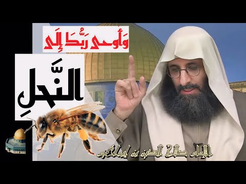 لسان عربي مبين بيان معنى النحلة من الكتاب و السنة للإمام صلاح الدين ابن إبراهيم الخليل