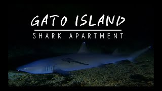 2023🦈Shark Apartment❤️ㅣGATO ISLAND DIVINGㅣMALAPASCUA DIVINGㅣ가토섬 다이빙ㅣ말라파스쿠아 다이빙ㅣ힐링 영상ㅣ랜선여행ㅣUNDERWATER