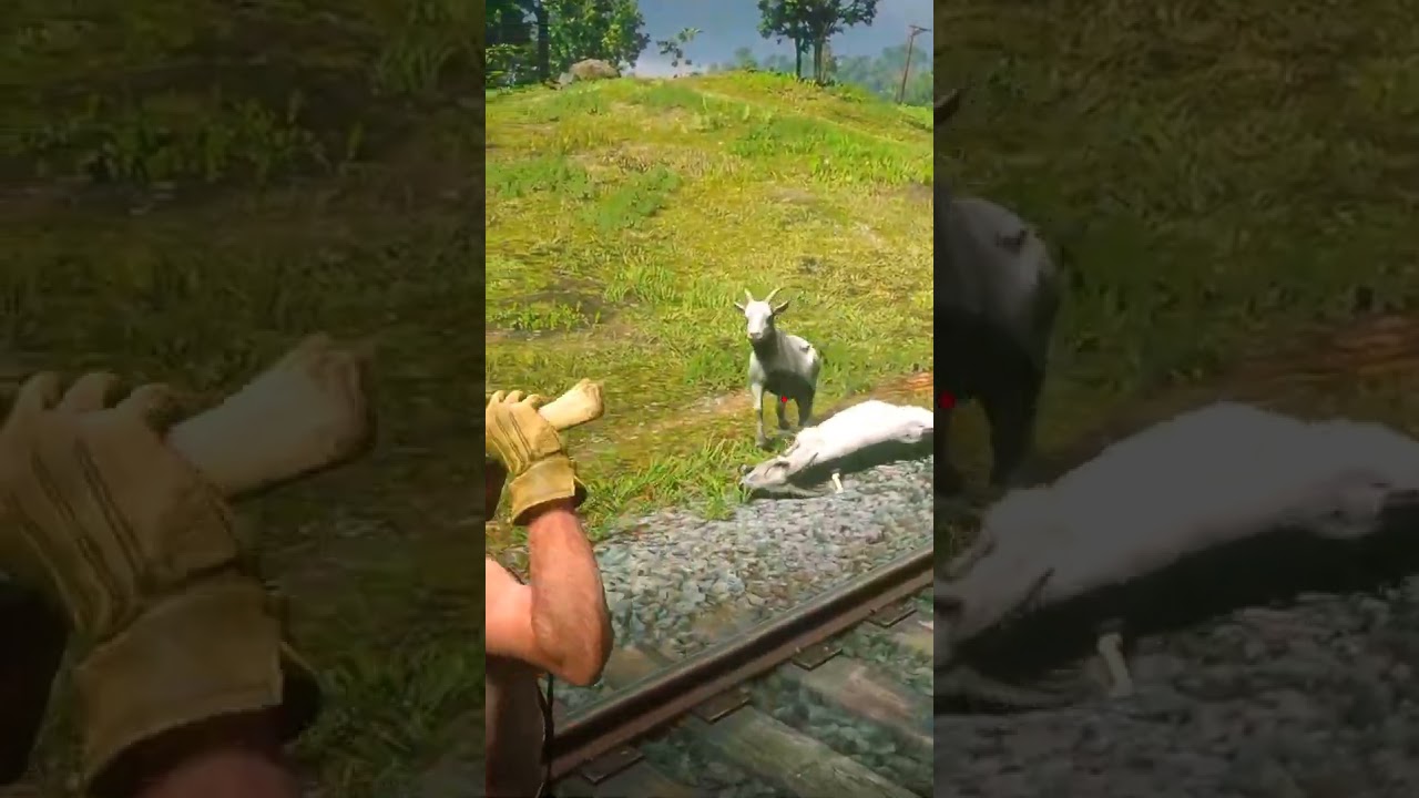 TOP1 Simulate stunning survival skills p646  😱🐕🤯 