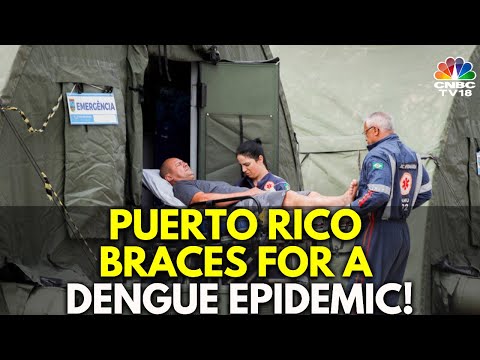 Puerto Rico Declares Public Health Emergency To Deal With Dengue Fever Cases | IN18V | CNBC TV18