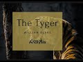 The Tyger by William Blake | the Tyger by William Blake line by line explanation | English Notes