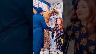 Lion Sa Panga Not...... 💯 #lion #animals #ytshorts mian saqib #petlover #tiger#trendingshorts