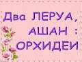 ЗАВОЗЫ орхидей в ДВА Леруа,СКИДКИ на ОРХИДЕИ в Ашане,26.12.20,Самара,ТЦ "Космопорт" и ТЦ "Мега".