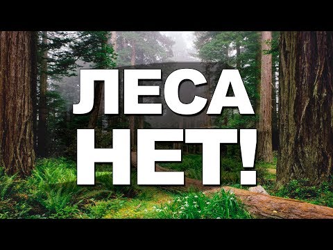 На земле ЛЕСОВ НЕТ!  Феноменальные факты!