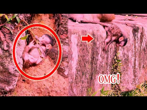 [OMG] Why does mum ignore her baby ??? Poor animal