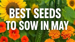 May Seeds To Sow And Grow Now Bee And Pollinator Friendly Flowers And Fruit