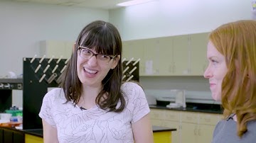 DNA: Our Genetic Blueprint - DNA Decoded