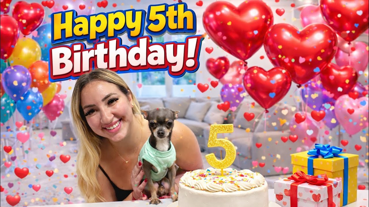 Празднуем грандиозную вечеринку в честь дня рождения Бентли!! (Специальное предложение ко Дню свя...