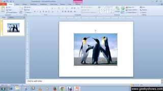 Microsoft PowerPoint 2010 Formatting Picture or Clip Arts