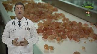 GUM ARABIC USA BEST SUPPLIER OF ACACIA GUM IN THE USA MEXICO AND CANADA SAVANNA 