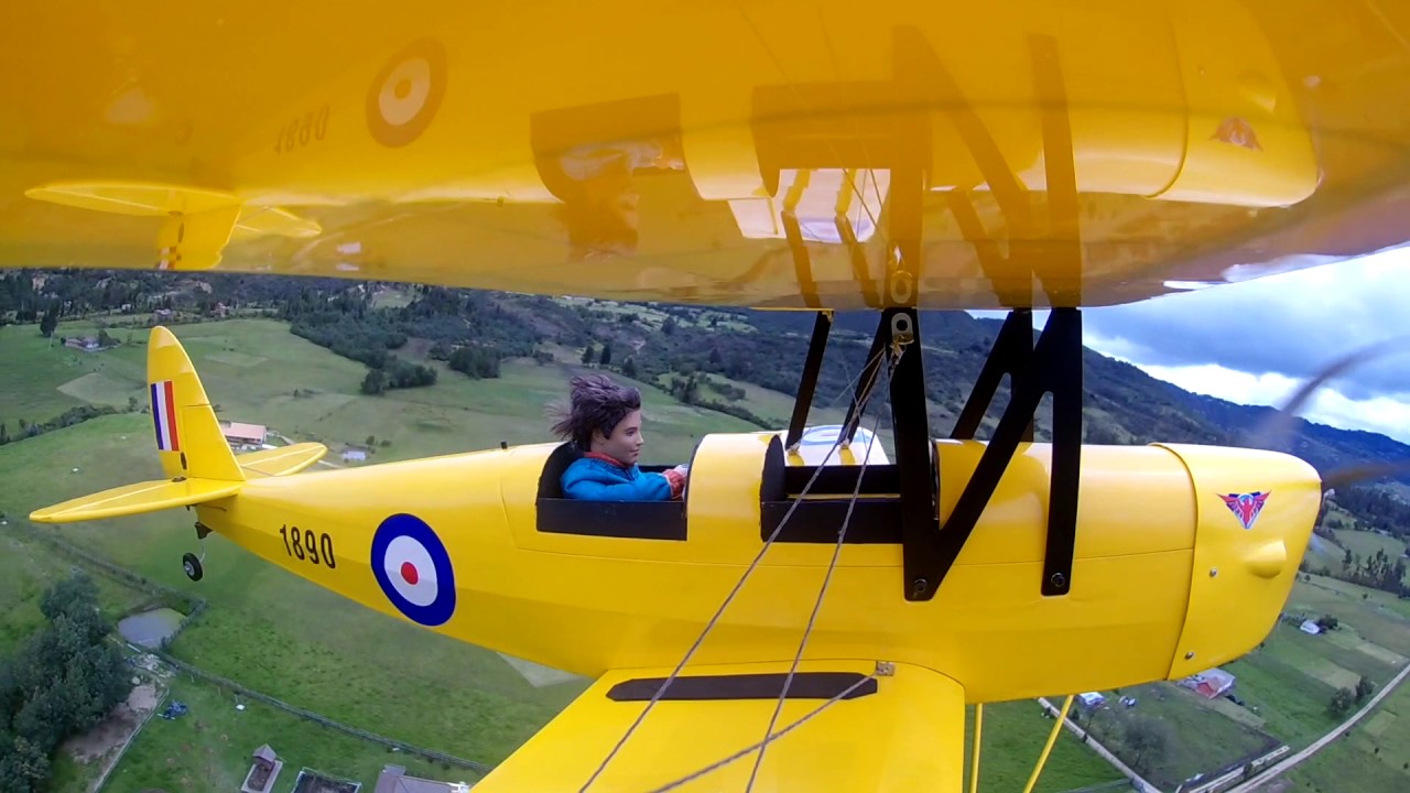 phoenix tiger moth