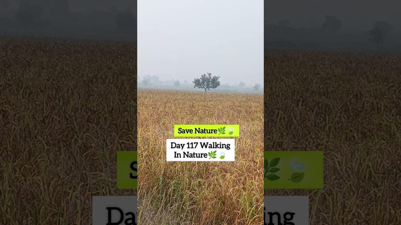 Day 117 Walking🚶 ❤Save Nature🌿🍃